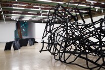 Installation view of Monika Sosnowska: Habitat
