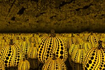 All the Eternal Love I Have for the Pumpkins All the Eternal Love I Have for the Pumpkins