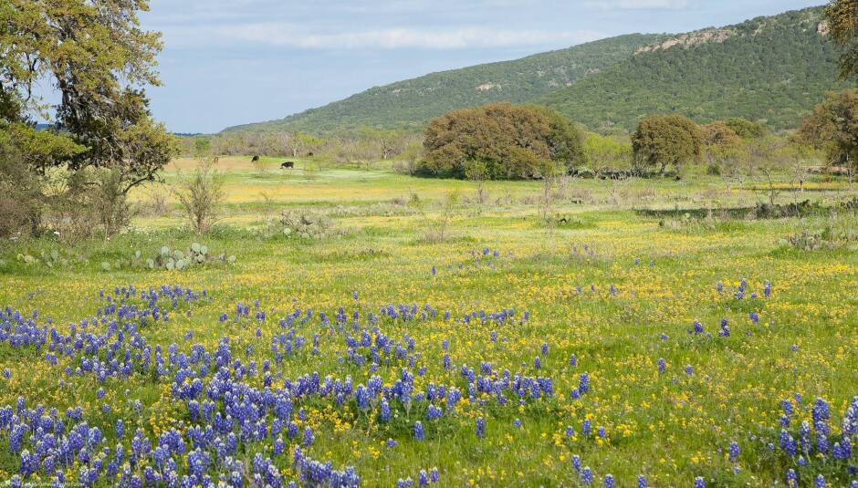 Texas Hill Country