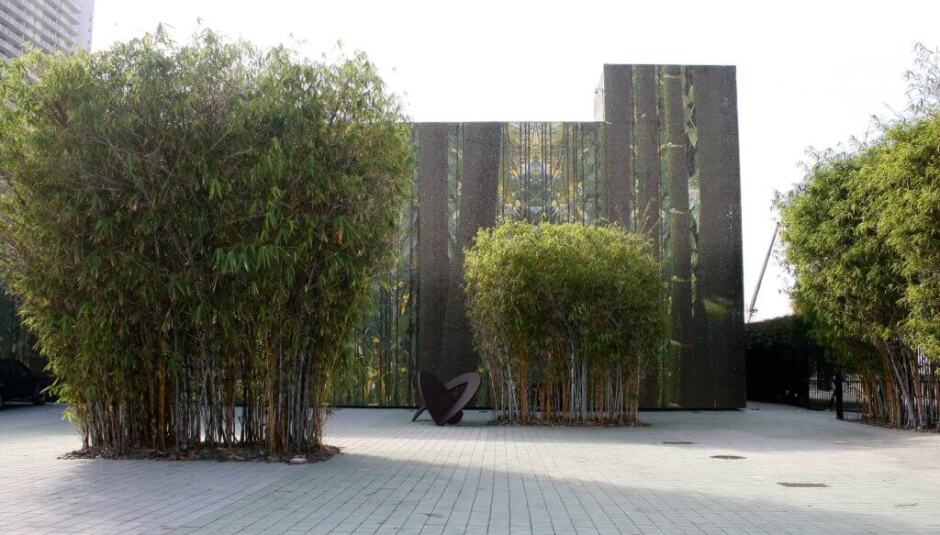 Cisneros Fontanals Art Foundation (CIFO)