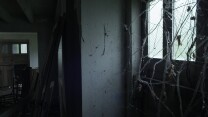 9 (002).jpg 9 (002).jpg
