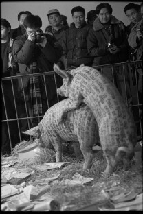 Xu Bing Xu Bing