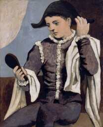 Harlequin Mirror.jpg Harlequin Mirror.jpg