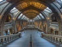 Nat Hist Int.jpg Nat Hist Int.jpg