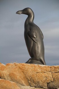 Great Auk Great Auk