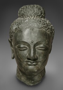 Head of a Buddha Head of a Buddha