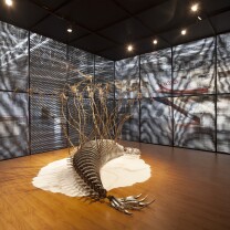 Interior View, Yuz Museum